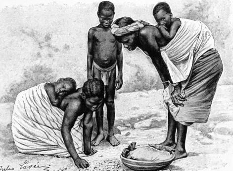 Счетчик каури