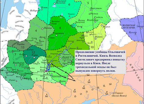 Продолжение усобицы князя Рюрика Ростиславича и князя Всеволода Святославича в 1206 г.