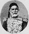 Омер-паша. командующий турецкой дунайской армии